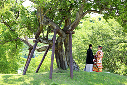 甘楽町楽山園  フォト婚　前撮り　フォトウェディング　写真だけの結婚式